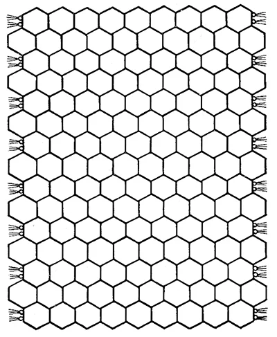 Morning Glory Afghan and Pillow Pattern #6000 chart