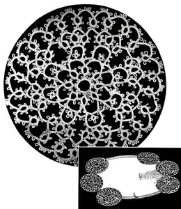 Circular Motif Pattern