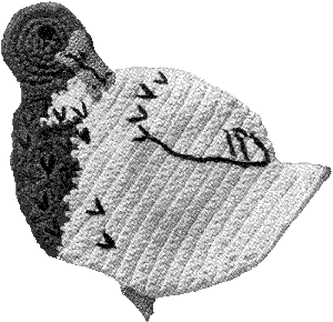 Danny Duck Potholder Pattern