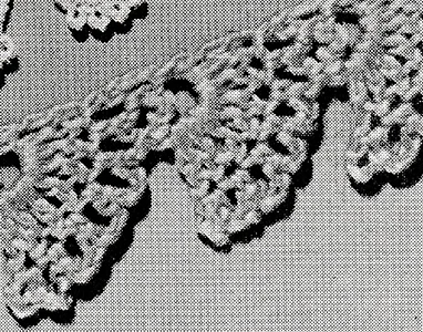 Edging Pattern #8338