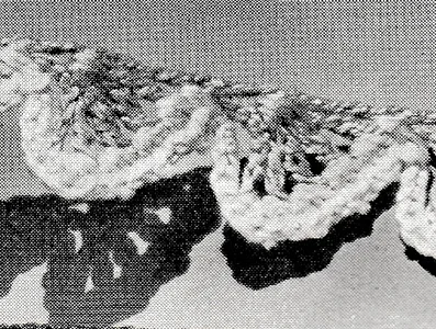 Two-Color Edging Pattern #8341