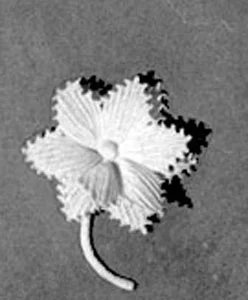 Lapel Flower Pattern #2634