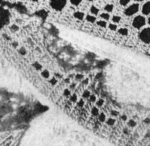 Edging #8841 Pattern