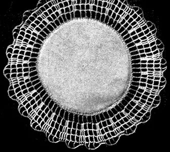 Doily with Edge in Contrasting Color Pattern #415