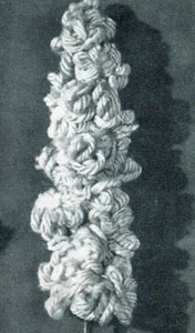 Hyacinth Flower Pattern