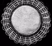 Doily with Edge in Contrasting Color Pattern #415