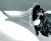 Horn of Plenty Pattern
