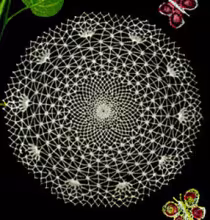 Spider Web Doily Pattern